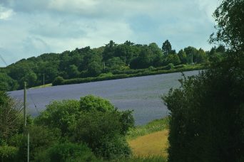 Photograph Flickr Creative Commons licence - attrib mattbuck4950 edited.